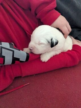 LM_PC Private Fill A Bag